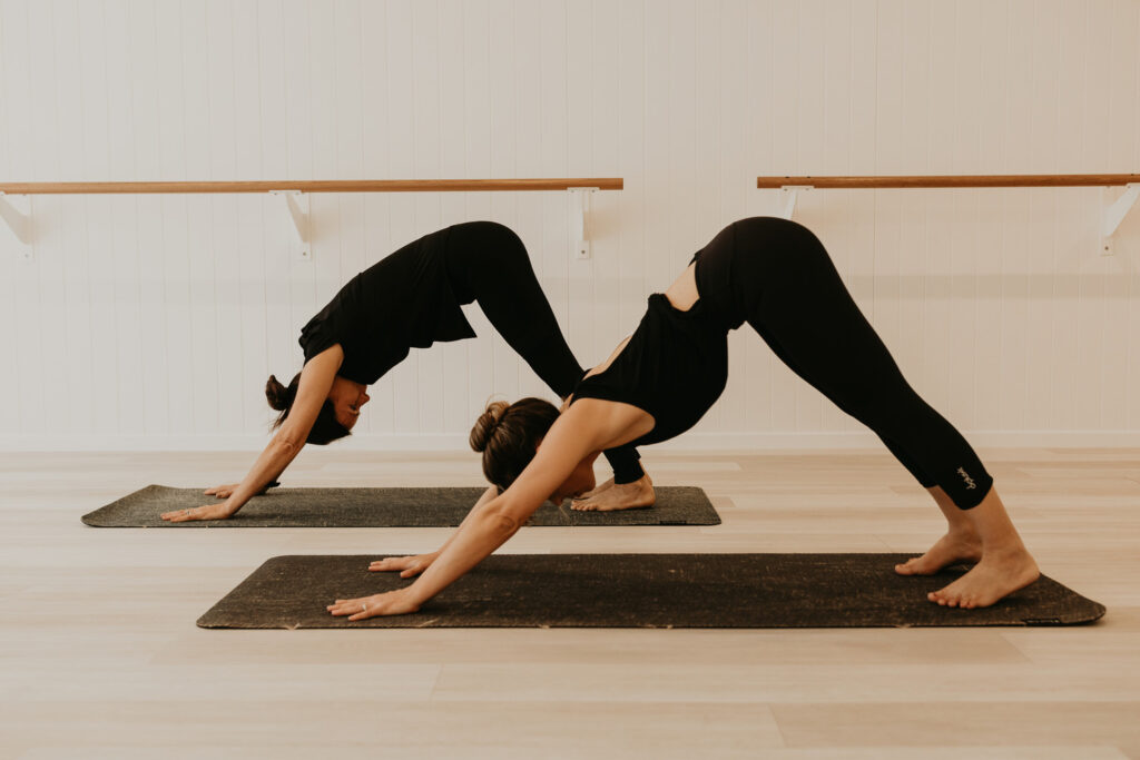 On The Mat Yoga Studio offers Classes in Beginner Yoga, Flow Yoga, Slow  Flow Yoga, Prenatal Yoga